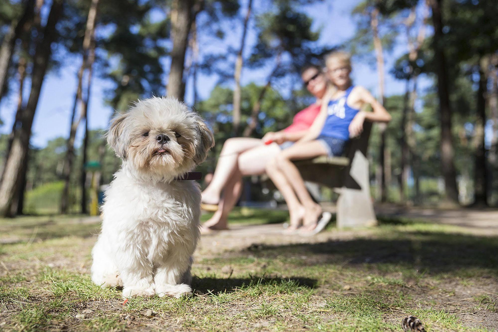 Oostappen Vakantiepark Arnhem Bv Luaran gambar